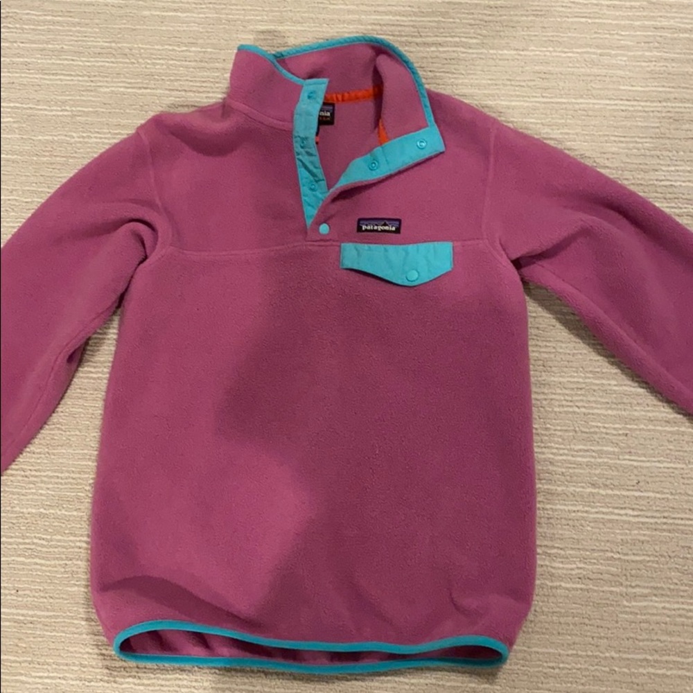 Patagonia Synchilla purple/blue